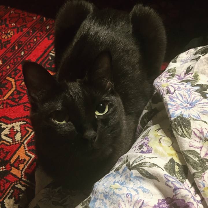 4491d7eb f572 406c 8c0f cbfcc3e5c94e 1557760972103