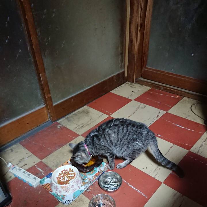 4491da52 23ef 416f 9d9e 3c5f7768b7bd 1584908423347