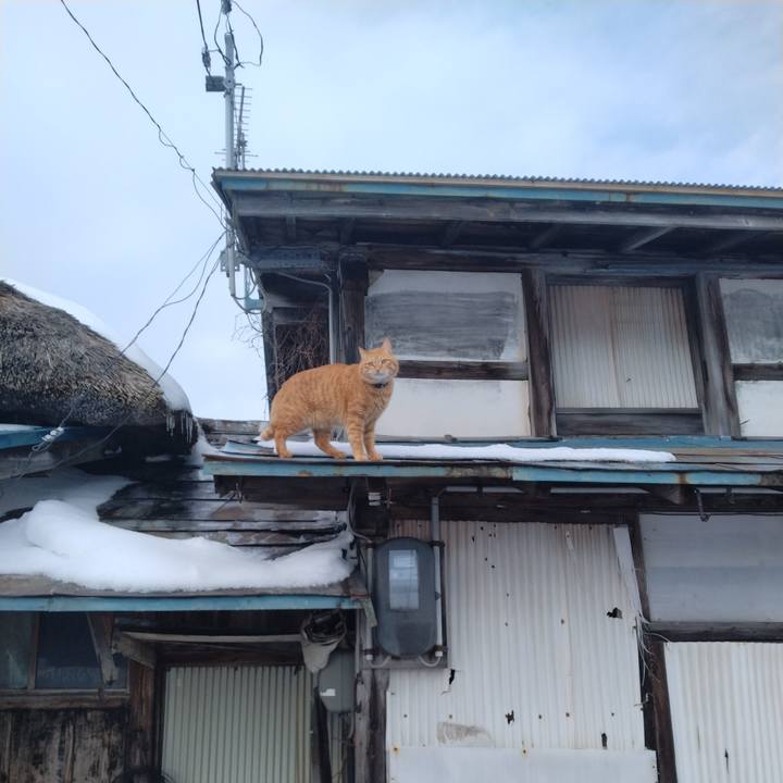 449212b8 3297 4a5d afbb 2bf9b219c97c 1674370510515