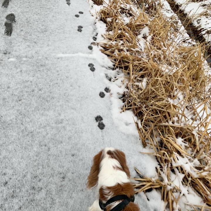 44922fde 57b1 4c08 8b46 500016104bb4 1583447593265