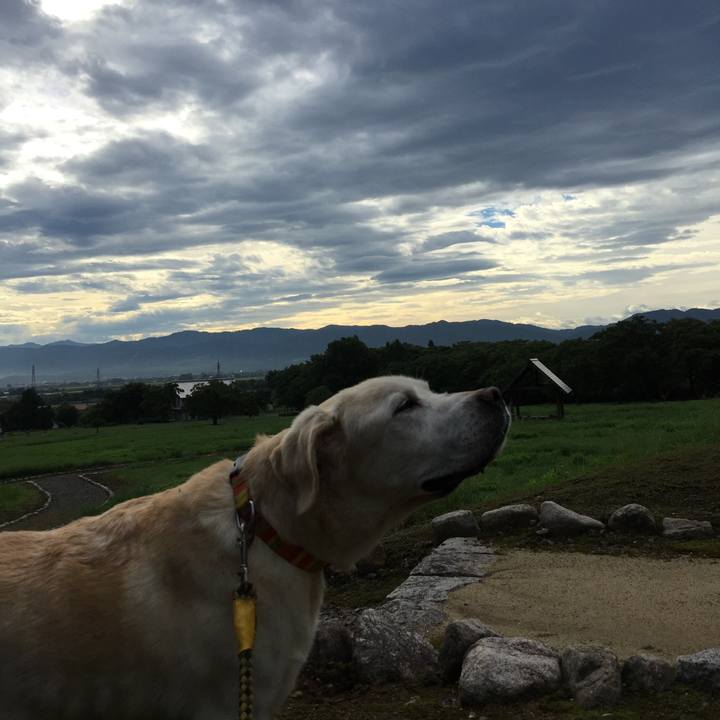 44923d8f d8b7 4615 8255 3e4cac8705c1 1536017026103