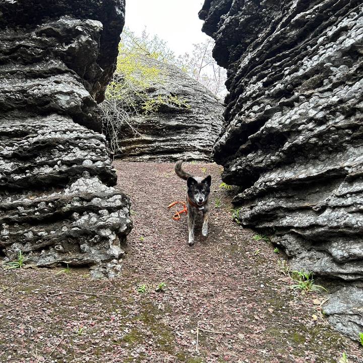 44925d85 58b5 4ad2 a33e 4b8a629f3785 1681045778189