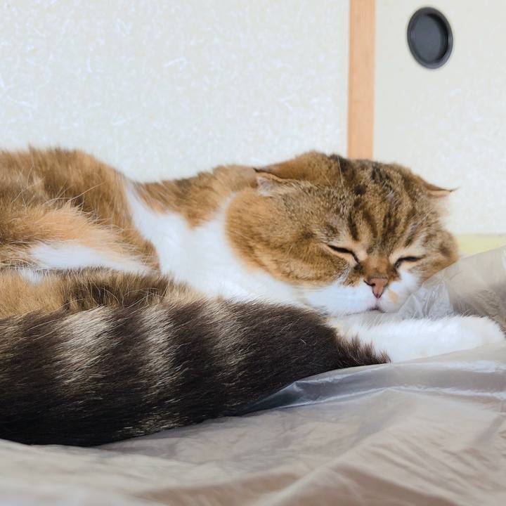 44926f80 2e8b 4736 82d2 58f55be06431 1562770130760