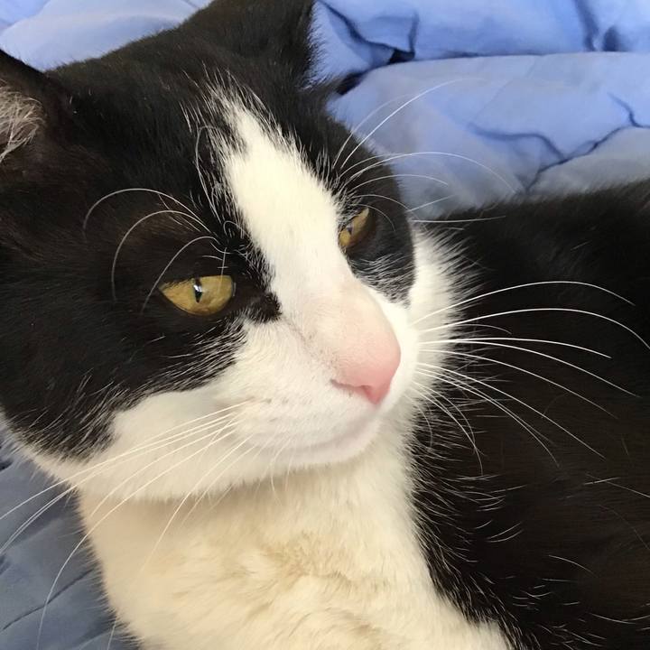 449275ca 0557 416b 988e f96f1f95ba25 1650358083923