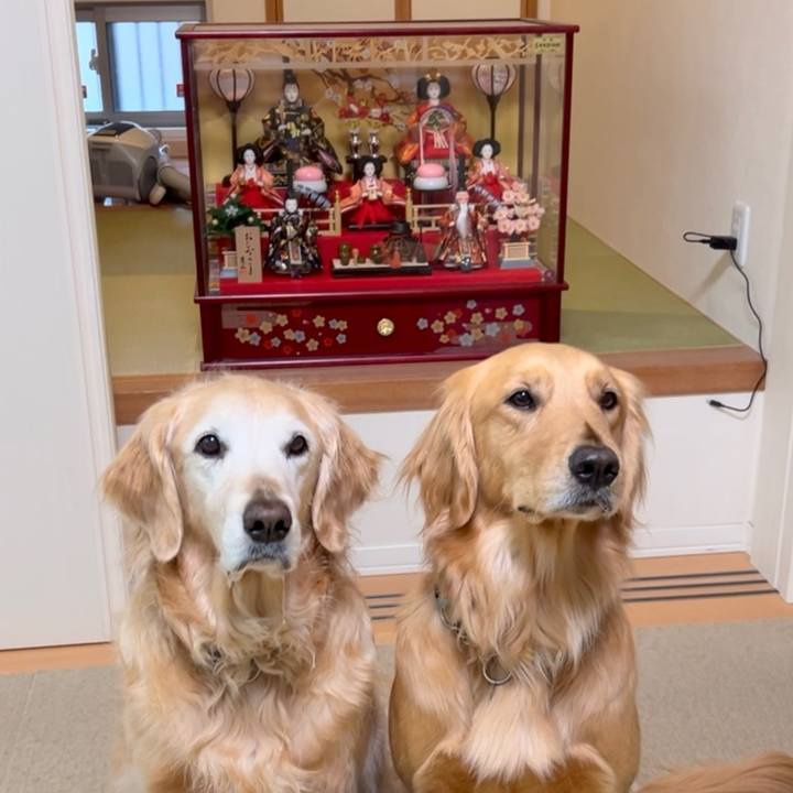 4492b18b 5c87 420d 92ac 15b6e3c754a5 1772531975699