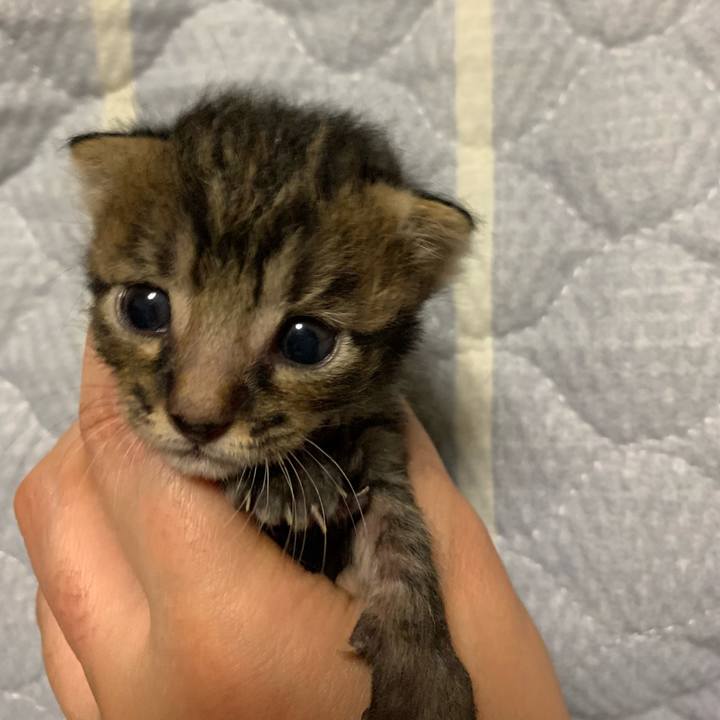 4492eba2 6518 4d74 8a77 682e6d9039c9 1563025195069