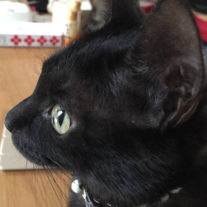 44930a1a 24c2 4af3 ae75 984575340b98 1517588545296