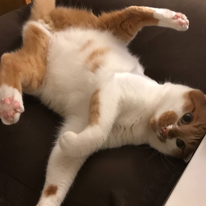 44933ace 6d6d 44ad a912 f25b70364da7 1509012045410