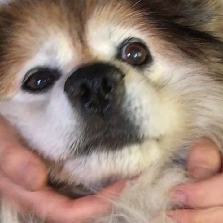 449345f1 ff14 47d1 9079 5834e5d1db5c 1621318767905