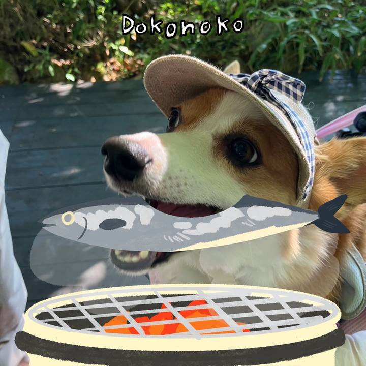 44937a1c a887 4f08 b69f 464f6394e535 1761113308939