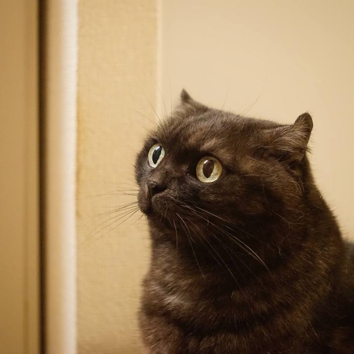 449387bc 7aa3 4abe 813b 617d9282dc97 1562773917711