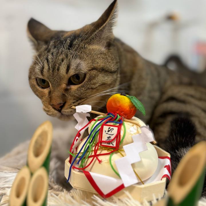 4493d9cc 5efd 40a2 a502 9319cddb02fe 1767007584312