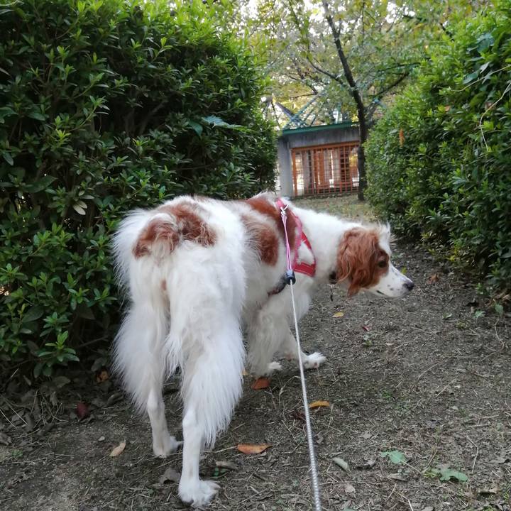 4493ee99 6ee9 4d3e 95b6 b1a3353d1b9a 1604050976675