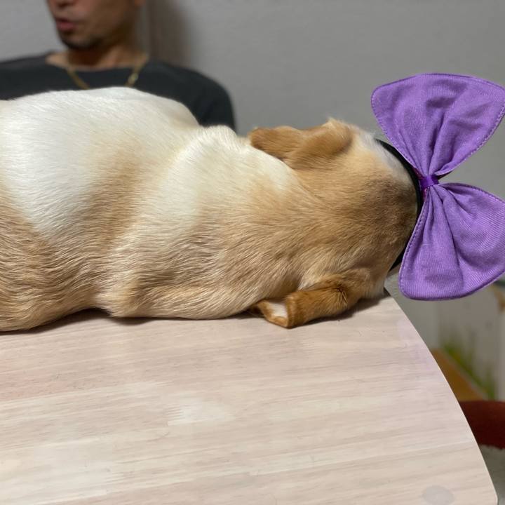 4493f696 8780 4bd6 b1c9 3371b4bafb72 1652573217014