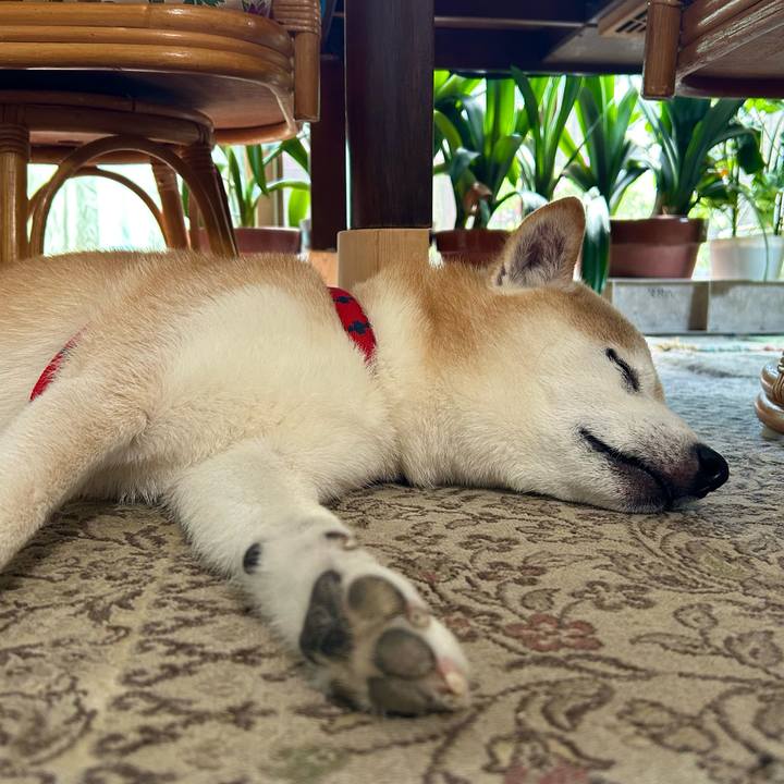 449400db acfb 4cfc 97fc bec25dcc2d6c 1759142470351