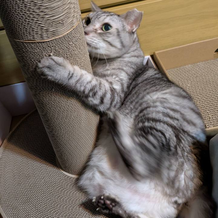 449423da 32bb 41c6 b882 dca4a2f1a780 1765907118491