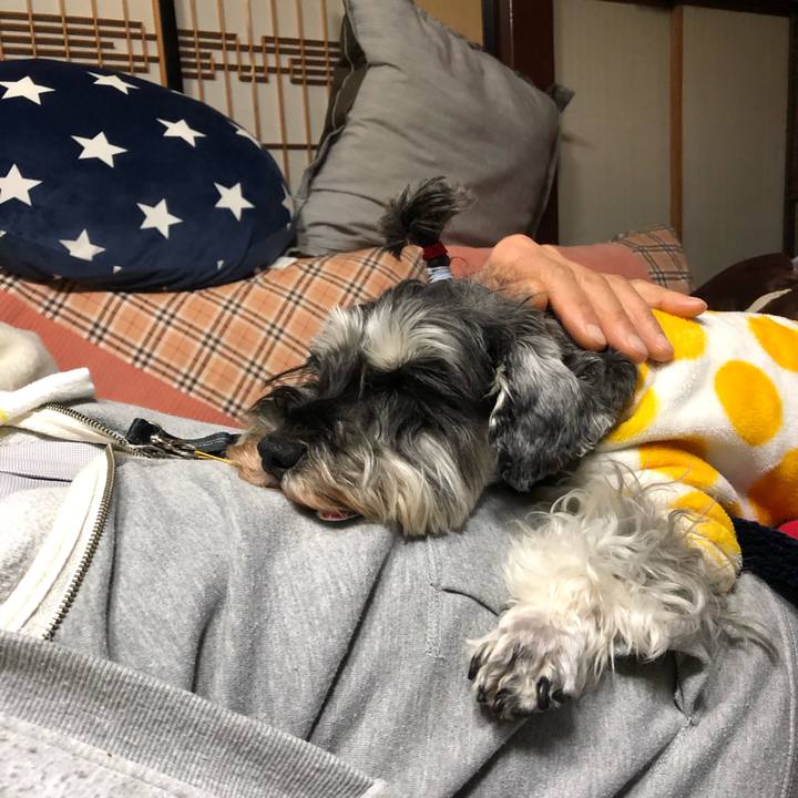 4494365c bfdb 443a 832c 2a62fb882d7c 1610808755289