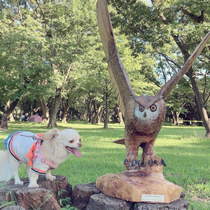 44943fbc acb5 4233 a4a2 4f1d102eee8d 1695042168671