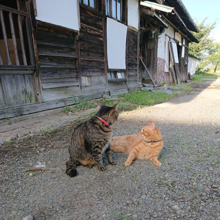 44947ce5 d823 496a 84f7 838461c32126 1661765366380