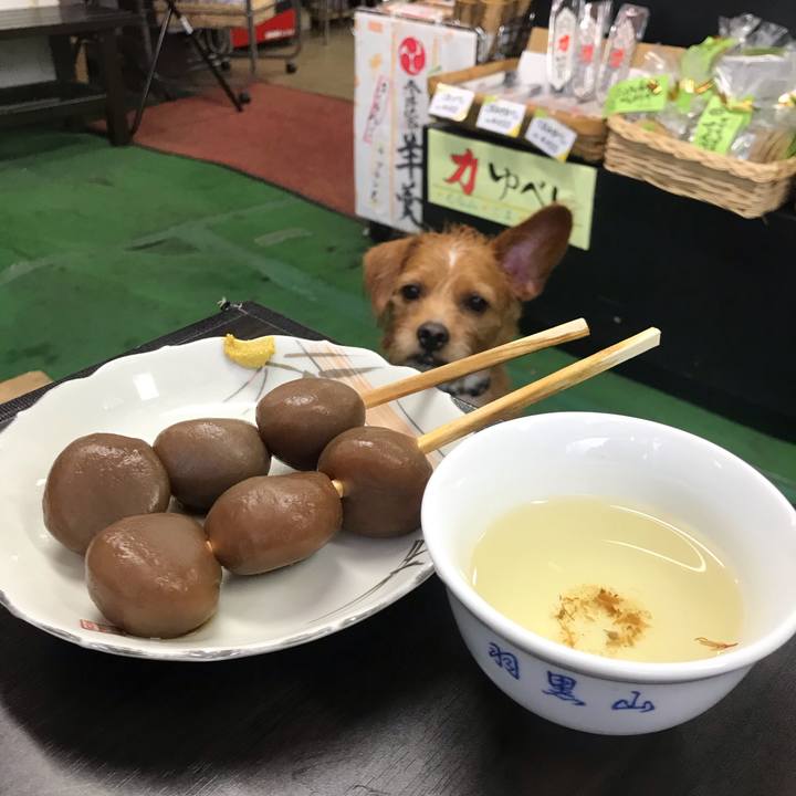 4494846e cc44 4fb0 8641 cc72609e1685 1571311923177