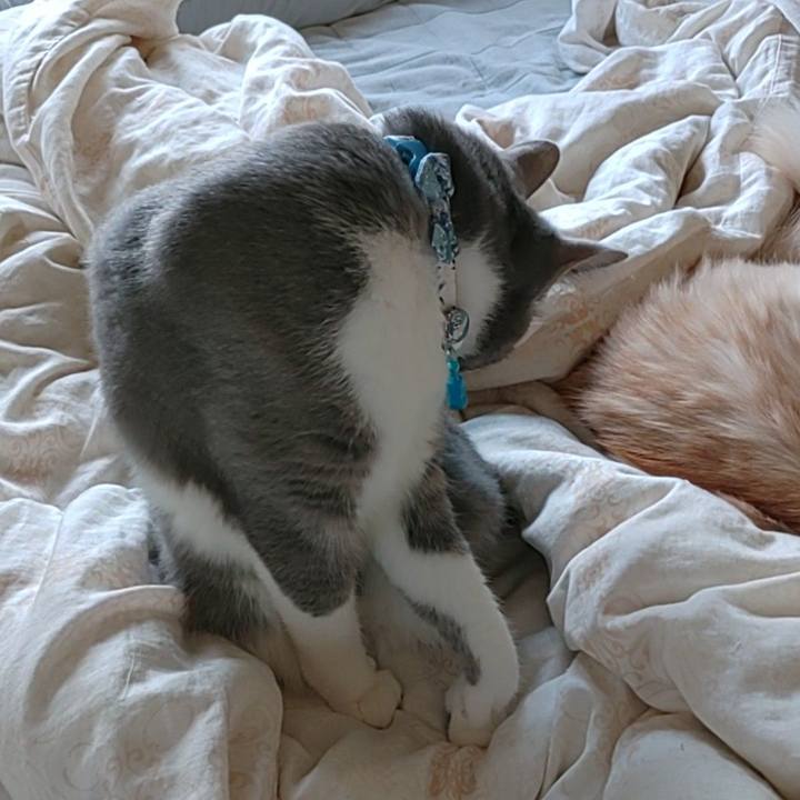 44948852 c4e8 45aa 857e 37c16fd7f264 1666318586137