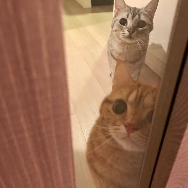 4494c876 cfbc 45ac 86b1 83479a155240 1525867785363