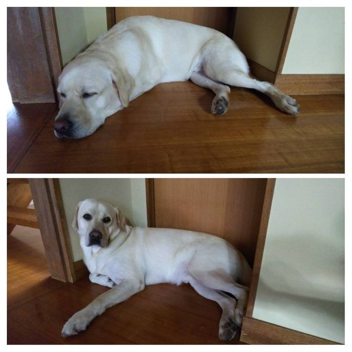 4494e16a 892b 4d14 8722 7da45cf9b8bc 1535099831941