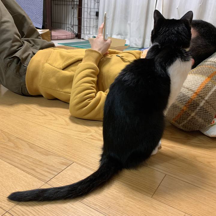 44950051 a02f 4307 87bc b6f7056d6742 1584603522119