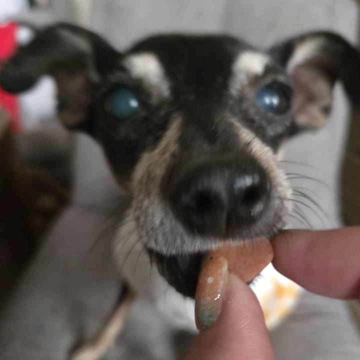 449509bf c2b3 4177 9a86 b9a2b18b589f 1754122459003