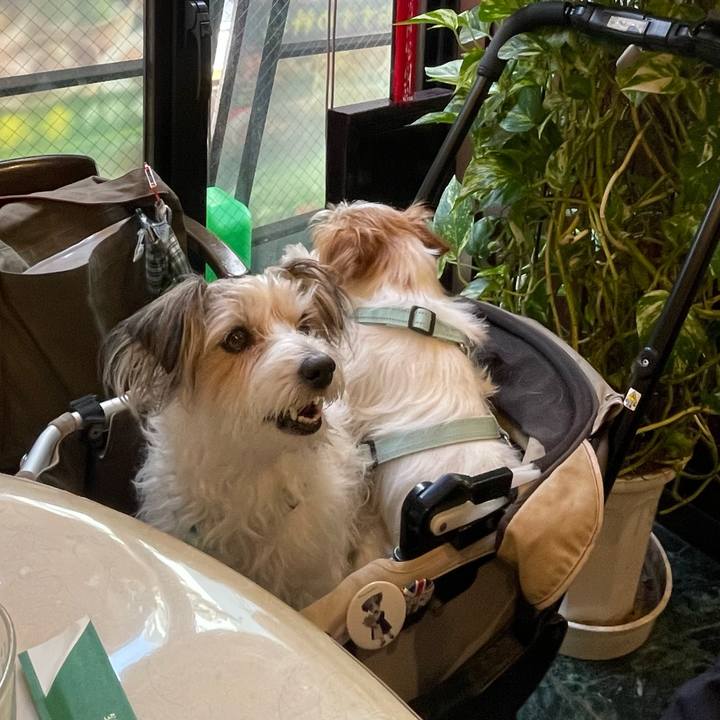 44950a1e 4075 4e92 943d c3d92c365fcd 1776719334068