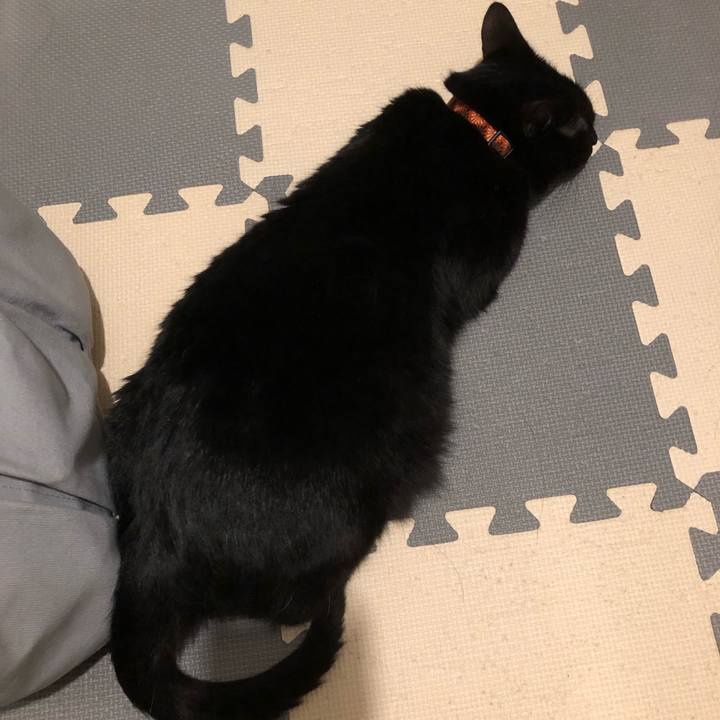 44950a79 fc18 43b5 bfb0 f337a465c004 1565261122089