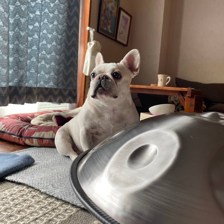 44951bf8 6222 4eff a3eb 038c62b6057b 1752465975865