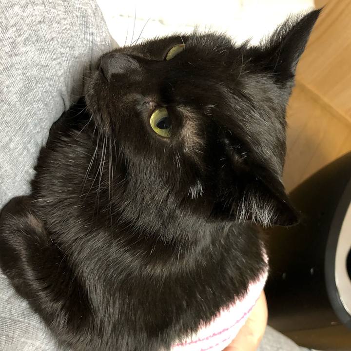 44958f8c 9fe3 42e9 8a1d d62e0d91dfbf 1587476868925