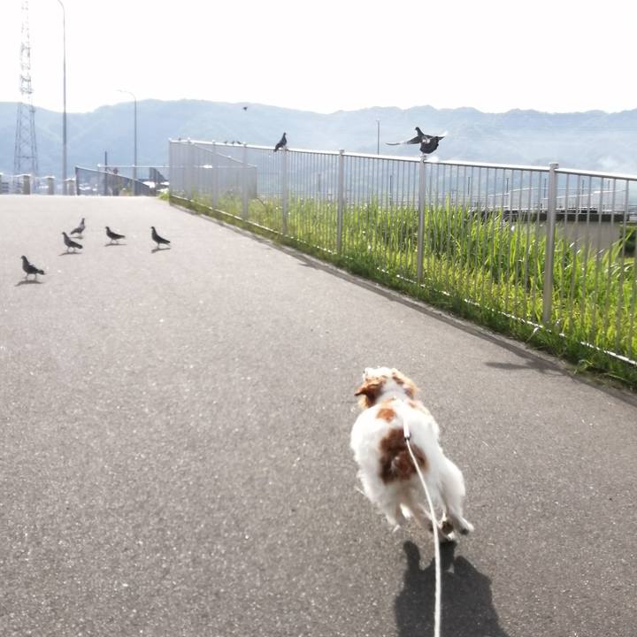 4495da1e 5213 45a0 99ae 08115f6a52a9 1589501017355