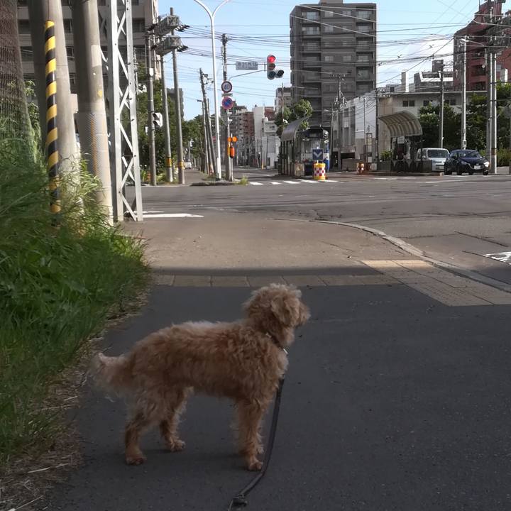 4495f6ce 1d2d 4d11 82d2 bd4dd6445057 1528716796504