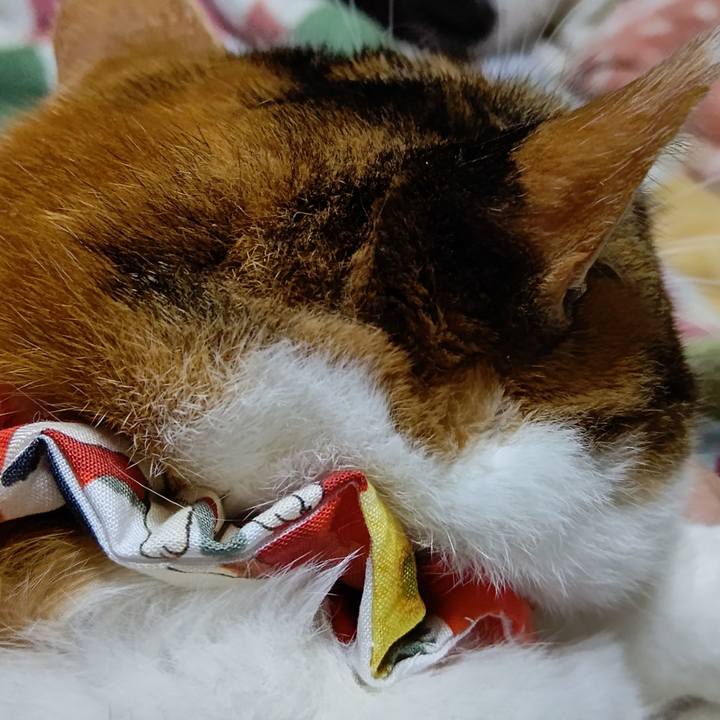 4496149d dddf 4155 a008 71a769f86e8a 1622553310180