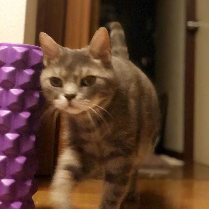 44970838 1dba 4d18 86b0 14798a081bb5 1535903554987