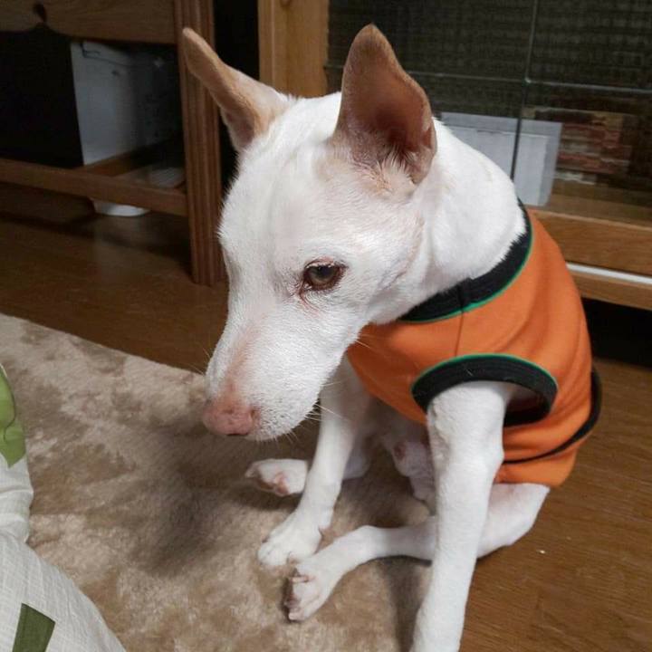 44972805 7349 4a75 8b75 af202355783b 1608307706558