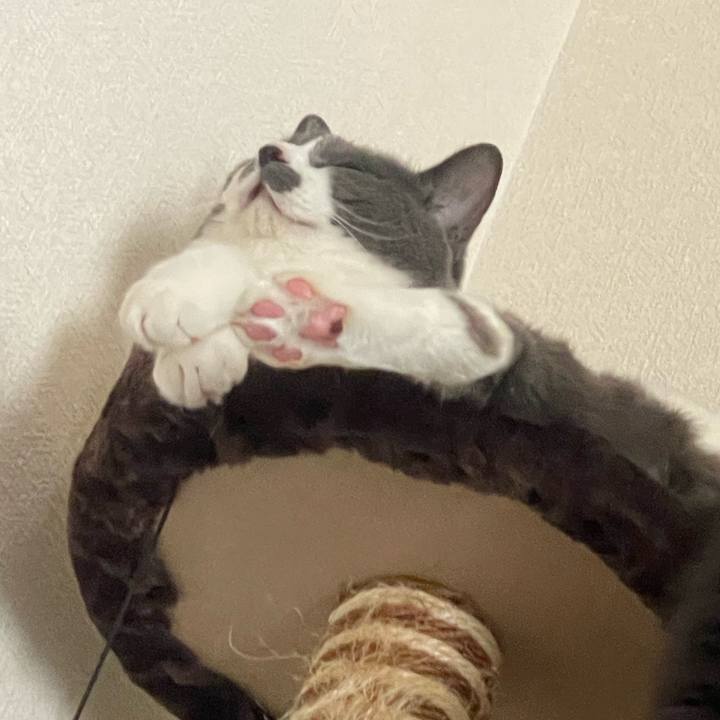 44972ab3 c1c1 42ca 87de 11800598d9ee 1720578165333