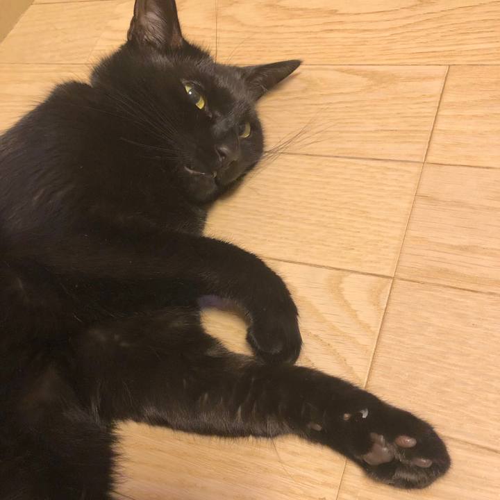 44972b43 feb4 44a1 af8a ea3b38a52483 1548768847939