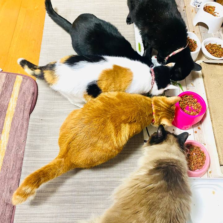 4497384a e3a7 40cb a32f 1b96d3ebd20c 1750633168649