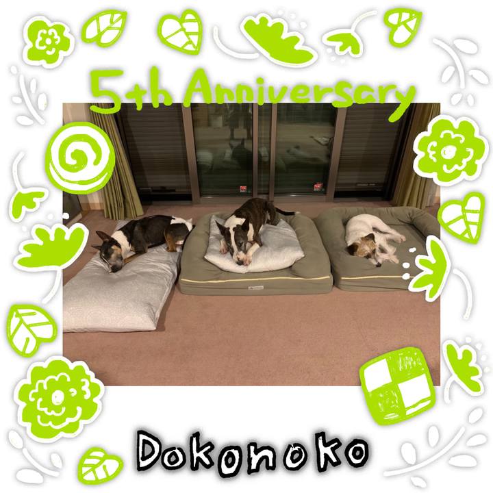 4497630f 8d00 46a6 be14 a585ddff30b1 1623386933151