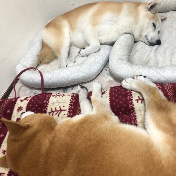 449774e3 c1dc 4858 881a ba3eb4b00a92 1571354000631