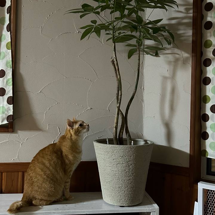 4497e257 f029 467f acdf c0f5c821b82e 1675502781464