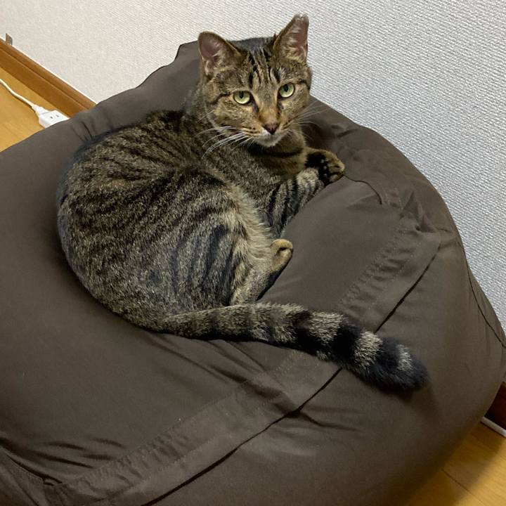 4497e57f 4460 4de6 81ab b310e890232f 1593428718362