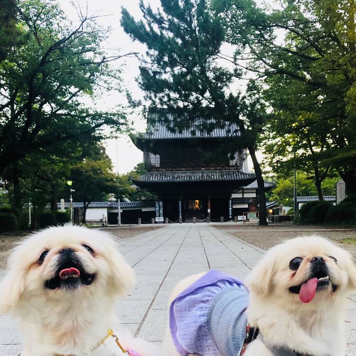 449800c5 a5d0 4d28 aa5e 7ad939f51294 1597397084418