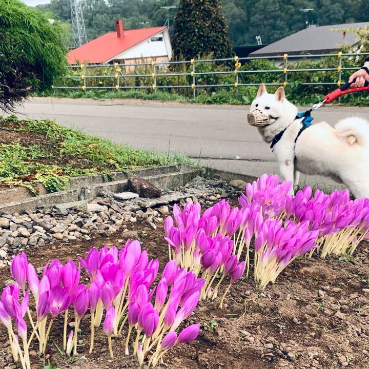 44980c04 4d91 48fd b20f b9973320b6f2 1664660260904