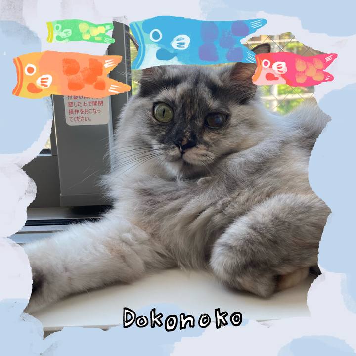 44981e5d db96 4ca1 a60a ec460471843c 1749104021777