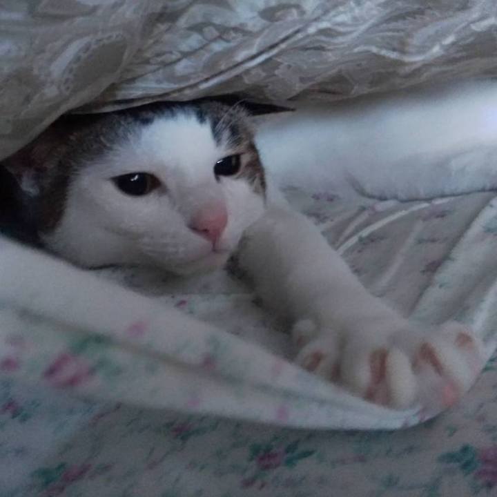 44983103 4e30 44a9 84d8 30aa527f0503 1670113754095