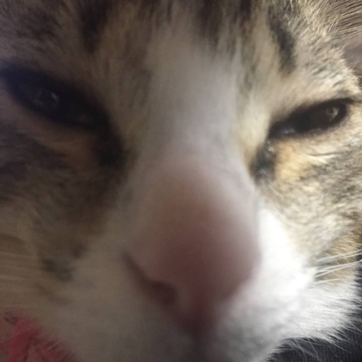 44985df4 ebe7 4fa6 9bfc 71b2aaa97b0b 1662771372691